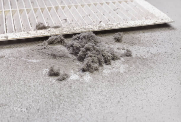 Best General Air Duct Cleaning  in Hazel Park, MI