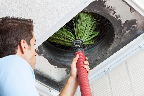 Air Duct Mold Removal in Hazel Park, MI