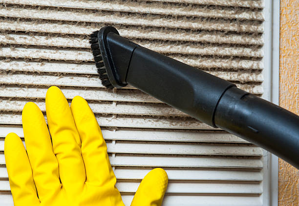 Best Home Air Vent Cleaning  in Hazel Park, MI